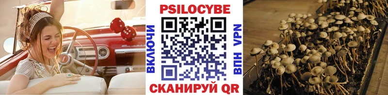 Псилоцибиновые грибы прущие грибы  хочу   Озёры 